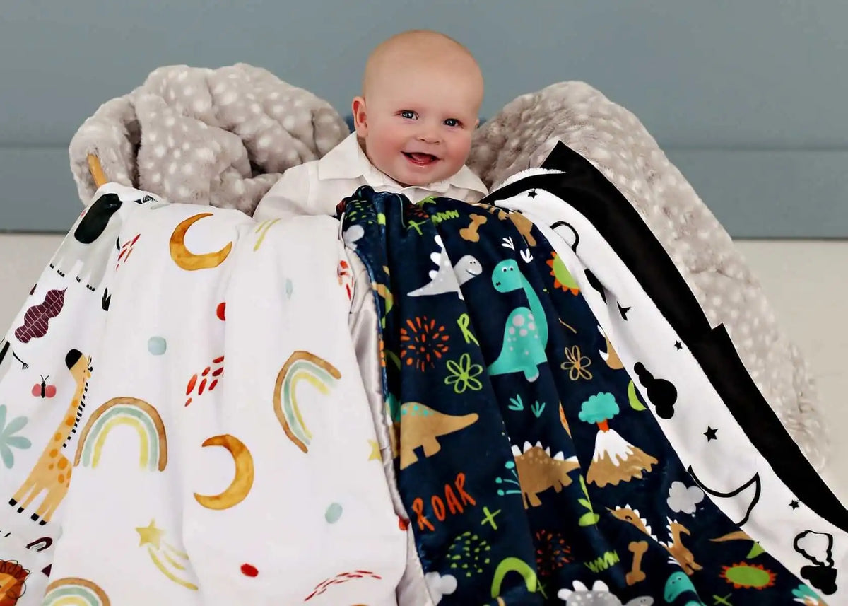 Dinosaur Land Blanket