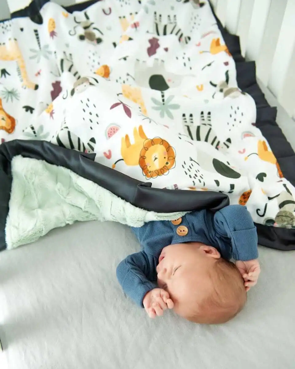 Zoo Day Blanket
