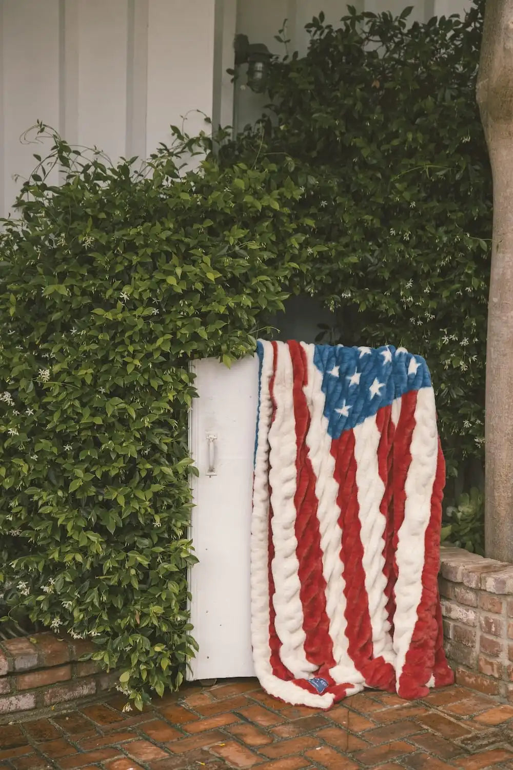 Hugs Flag Blanket
