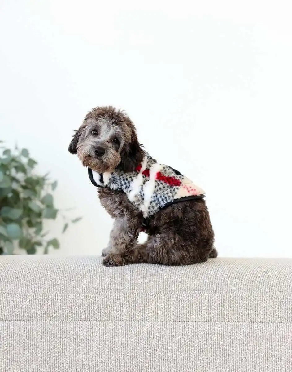Pet Vest - City Plaid/Cream