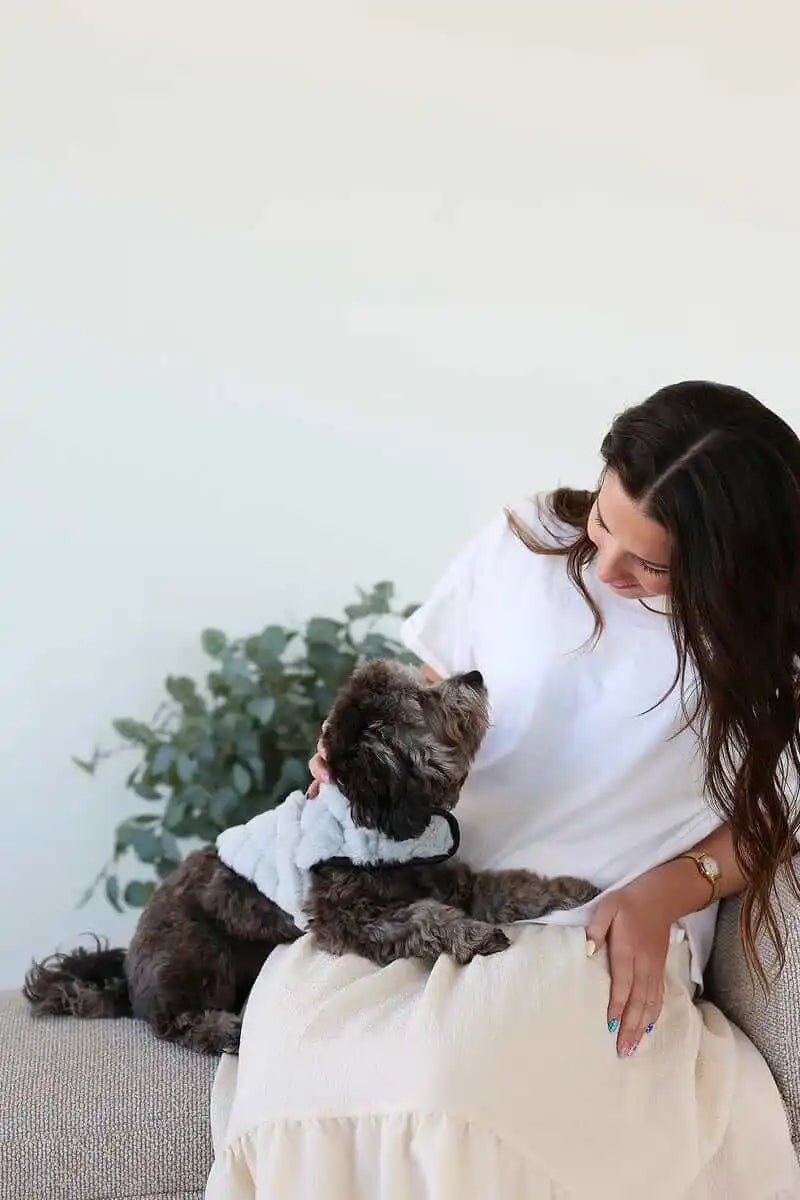 Pet Vest - Dark/Light Gray