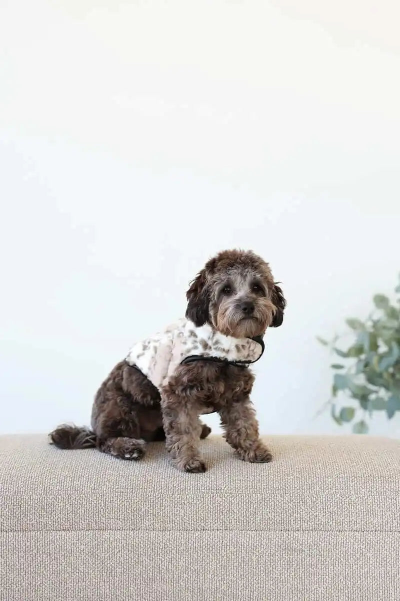Pet Vest - Sandra/Light Gray