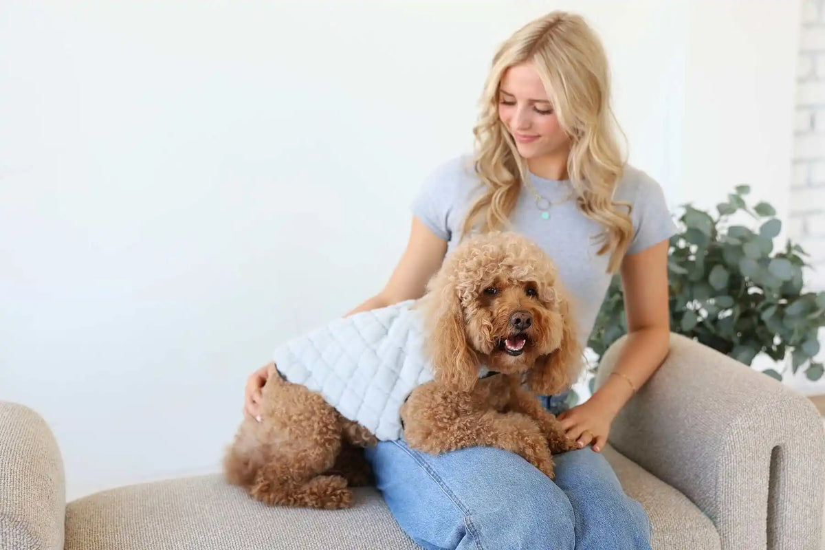 Pet Vest - Sandra/Light Gray