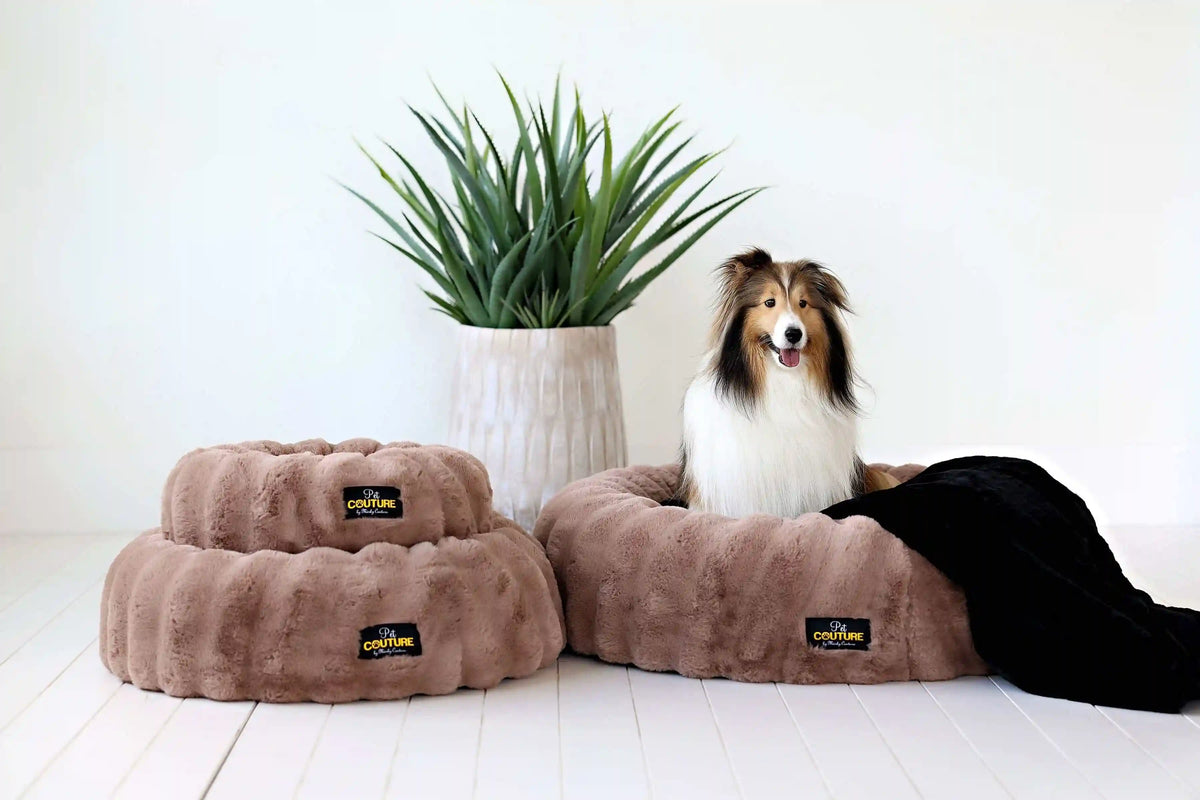 Milk Chocolate Pet Bed