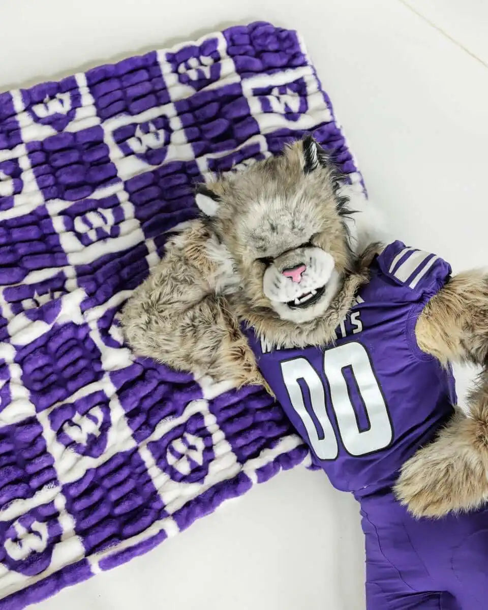 Weber State Wildcats Blanket - Hugs